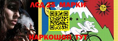 винт Шелехов